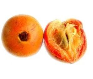 Alasa or African Star Apple Fruit at Shop Even