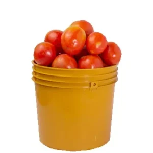 Tomatoes Paint Bucket