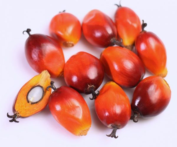 palm-kernel-martking.ng-online-grocery-shop-lagos-600x600 Palm nut at Shop Even